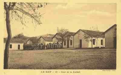 339.jpg