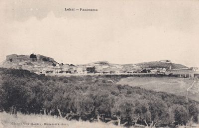 554.jpg